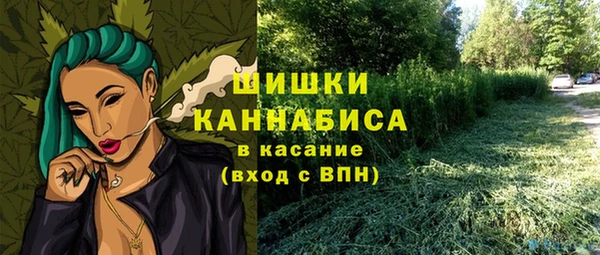 дурь Вяземский