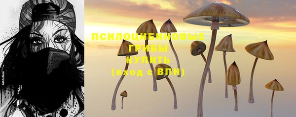 ешки Липки