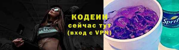 дурь Вяземский