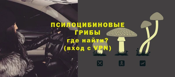 дурь Вяземский