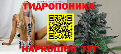 кристаллы Гагарин