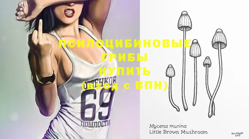 Галлюциногенные грибы Magic Shrooms  Десногорск 