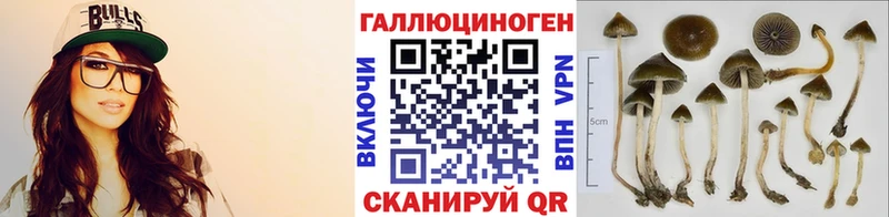 цена наркотик mega маркетплейс Галлюциногенные грибы Psilocybe Десногорск