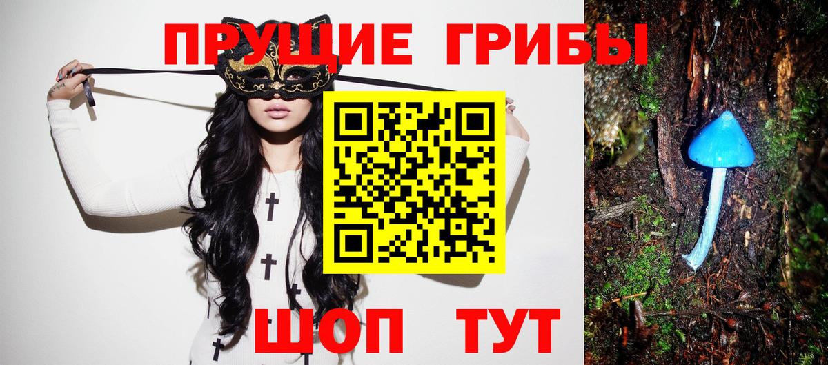 Галлюциногенные грибы Psilocybe Десногорск