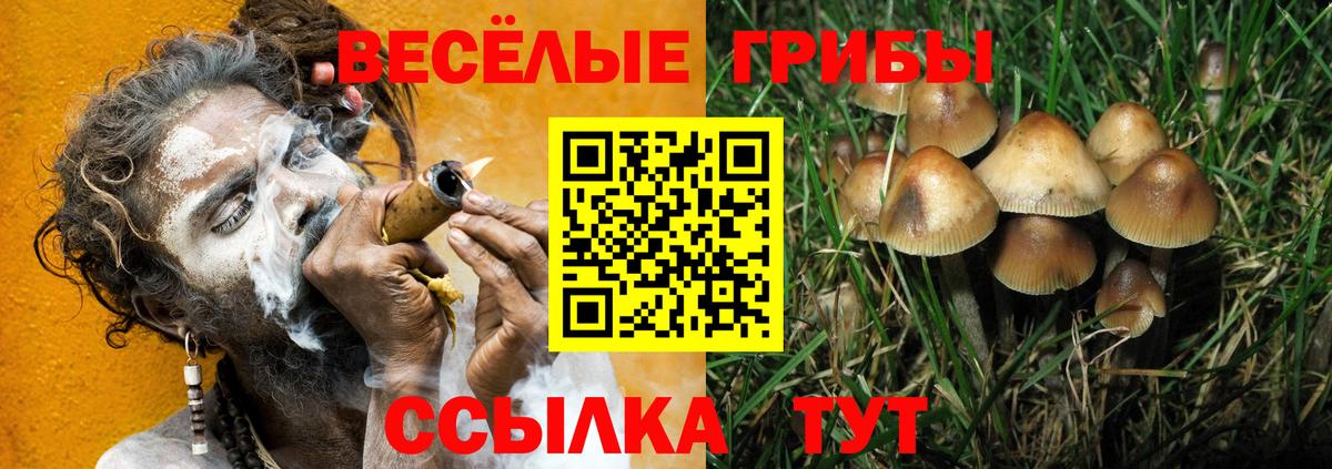 Галлюциногенные грибы Psilocybe  Вход с VPN  Галлюциногенные грибы Cubensis  Десногорск 